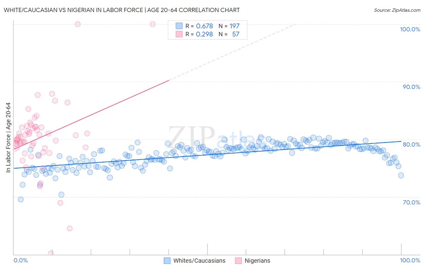 White/Caucasian vs Nigerian In Labor Force | Age 20-64