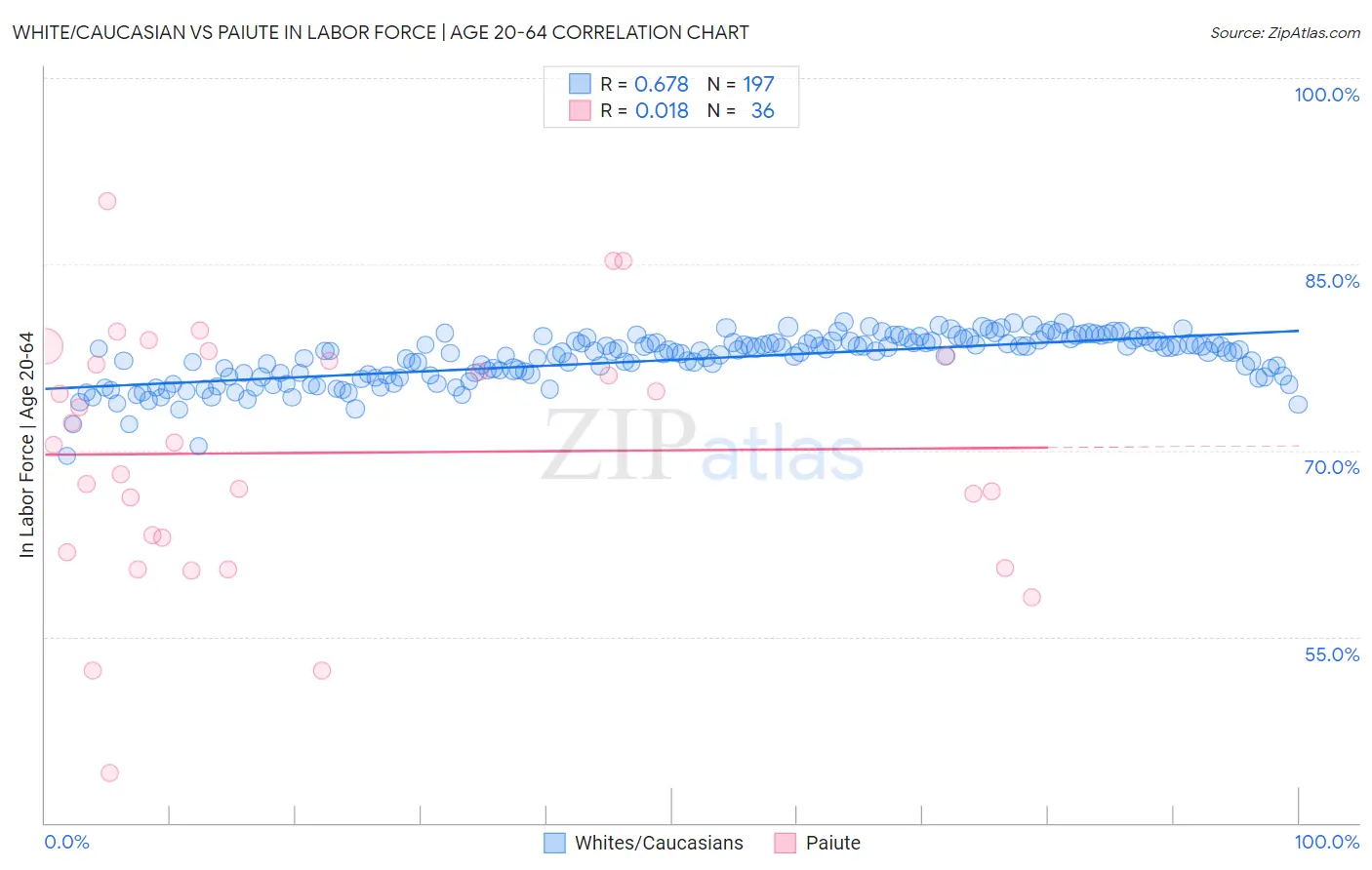 White/Caucasian vs Paiute In Labor Force | Age 20-64