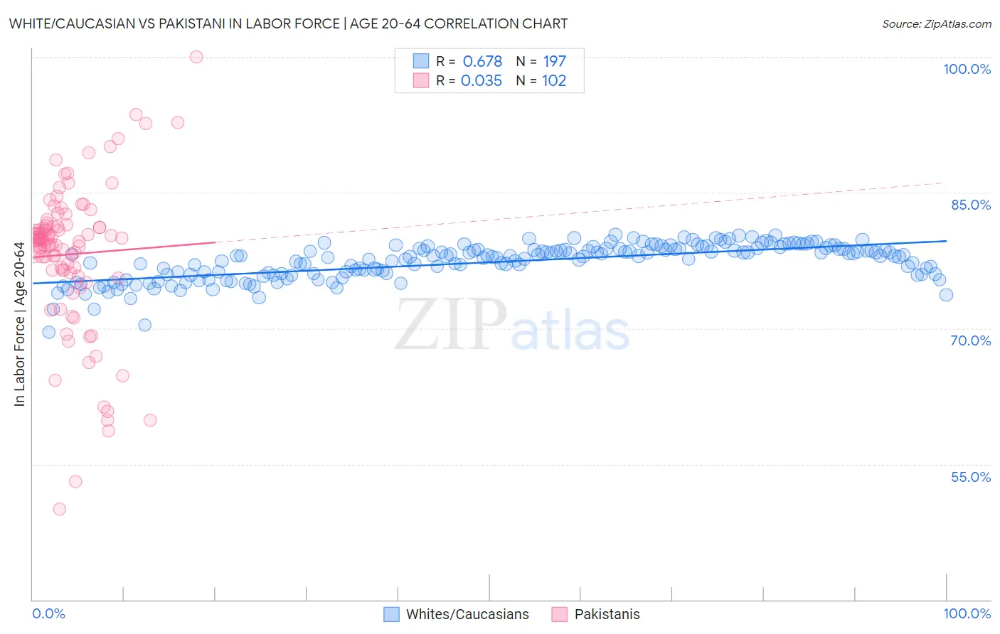 White/Caucasian vs Pakistani In Labor Force | Age 20-64