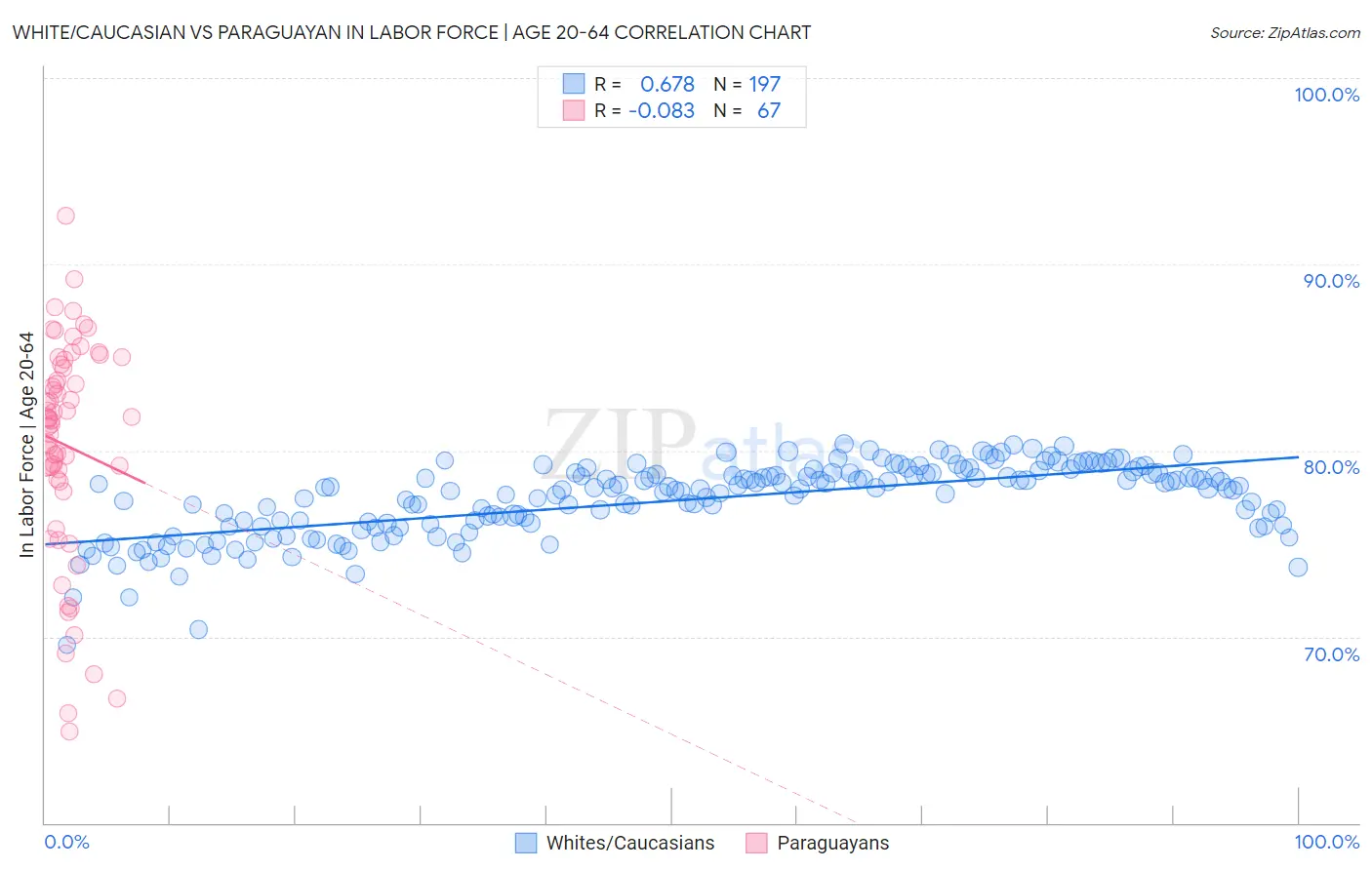 White/Caucasian vs Paraguayan In Labor Force | Age 20-64