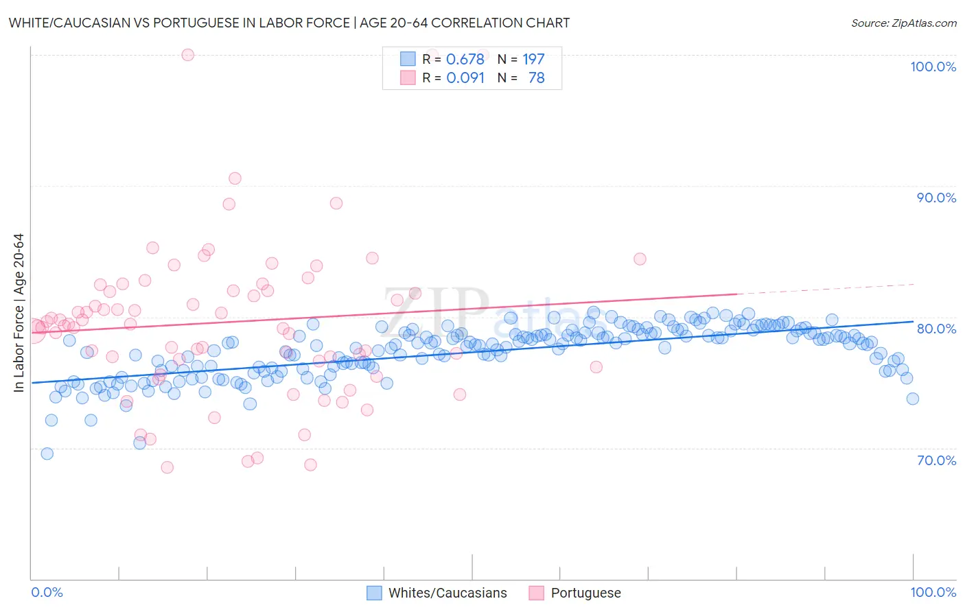 White/Caucasian vs Portuguese In Labor Force | Age 20-64