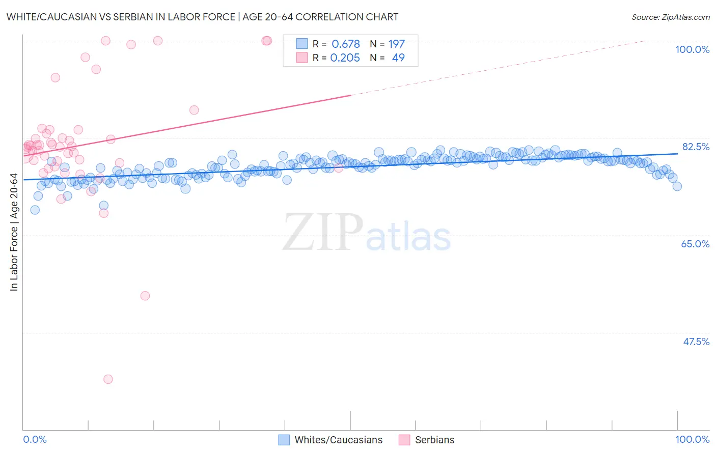 White/Caucasian vs Serbian In Labor Force | Age 20-64