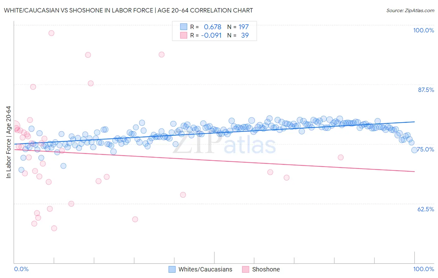 White/Caucasian vs Shoshone In Labor Force | Age 20-64