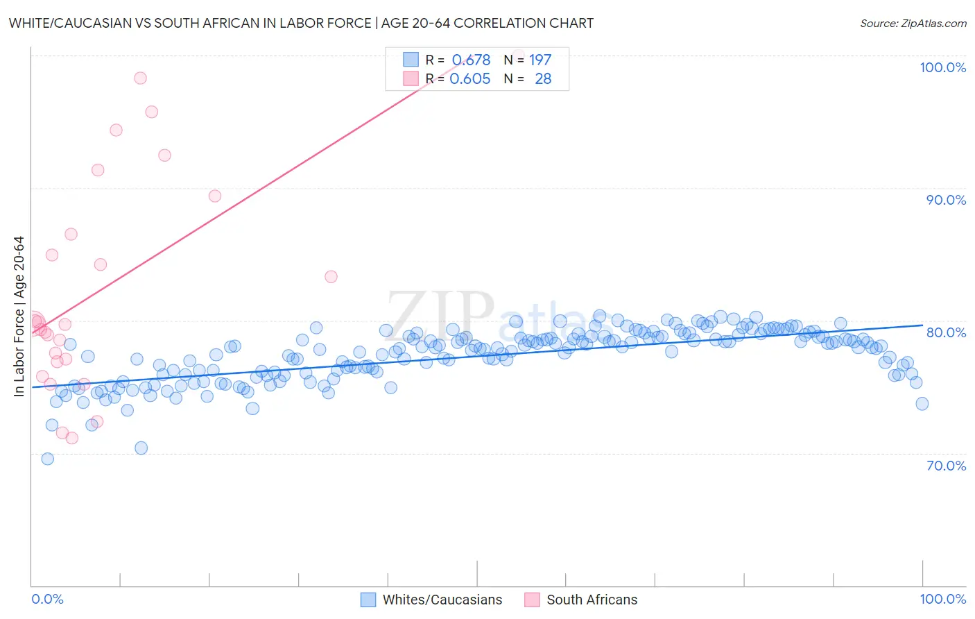 White/Caucasian vs South African In Labor Force | Age 20-64
