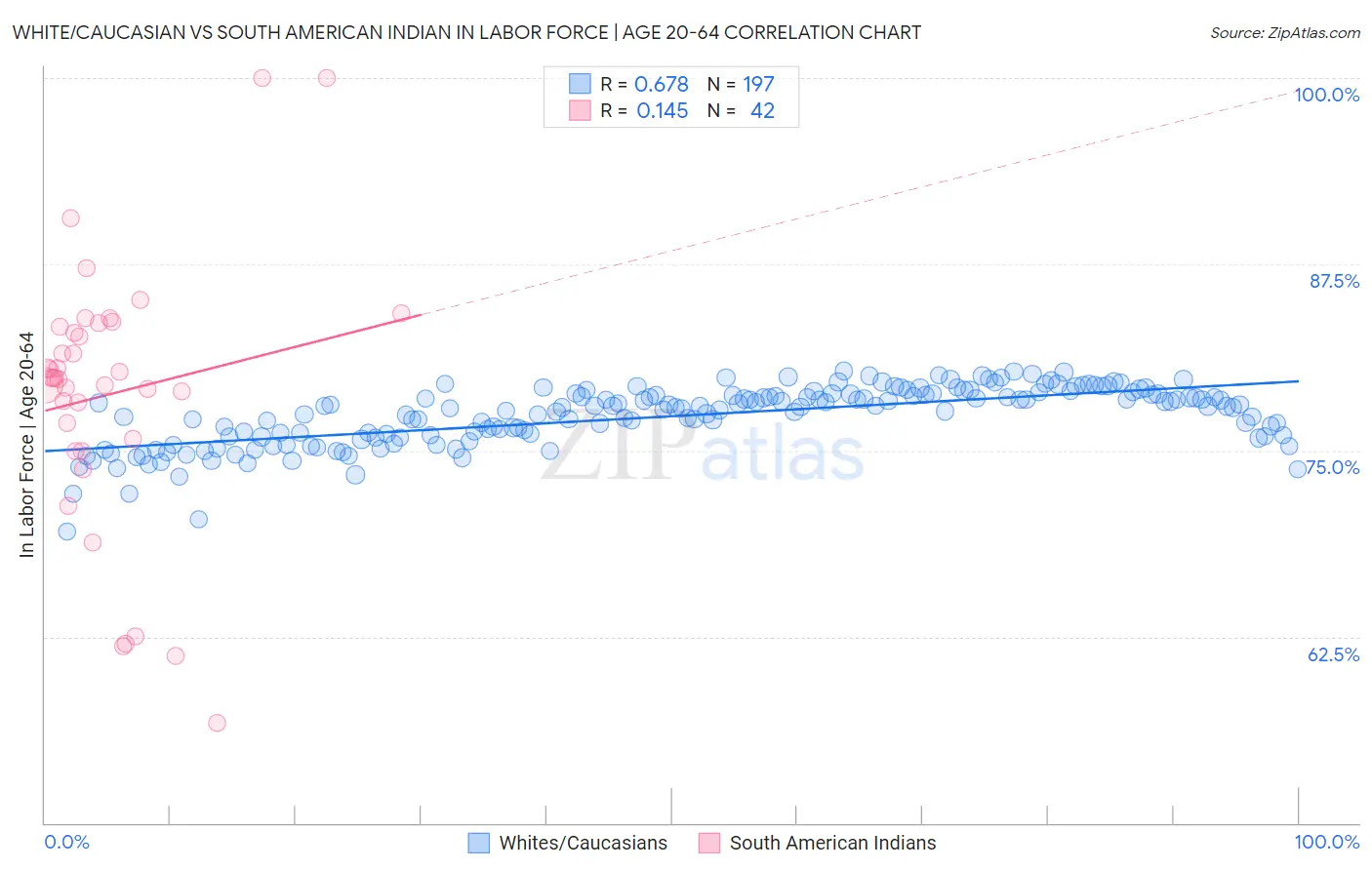 White/Caucasian vs South American Indian In Labor Force | Age 20-64