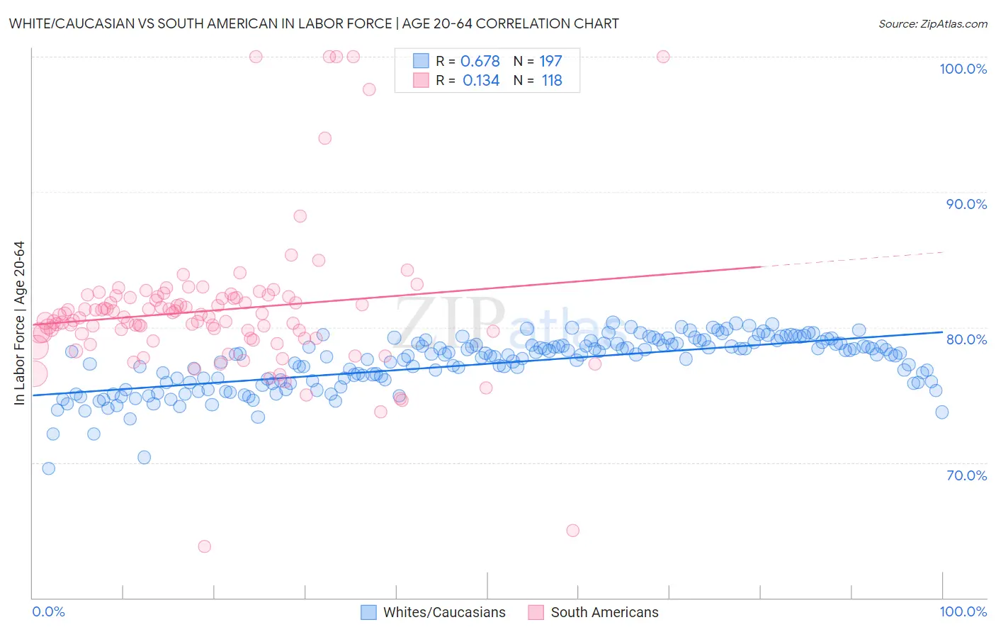 White/Caucasian vs South American In Labor Force | Age 20-64