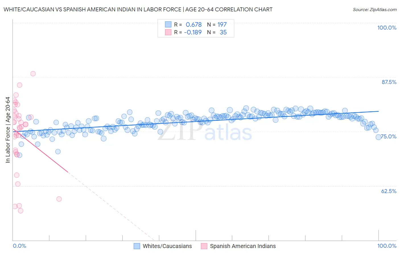 White/Caucasian vs Spanish American Indian In Labor Force | Age 20-64