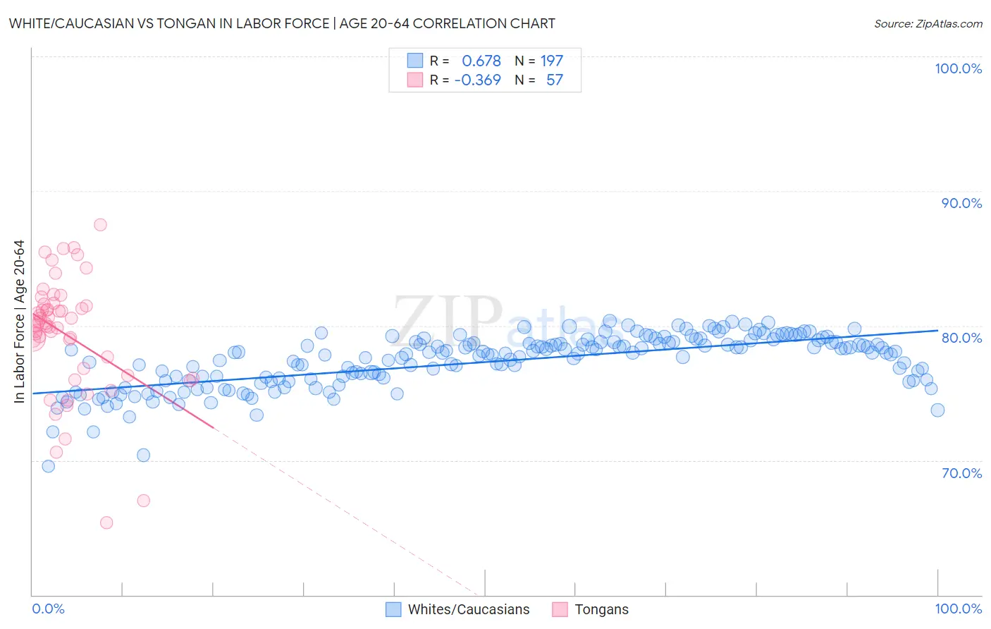 White/Caucasian vs Tongan In Labor Force | Age 20-64