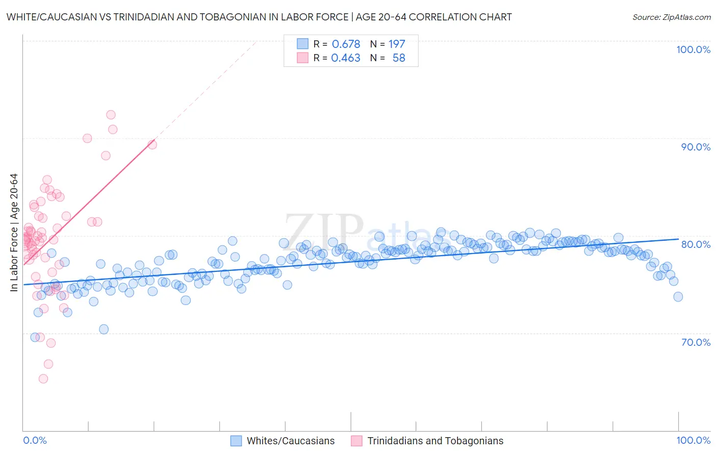 White/Caucasian vs Trinidadian and Tobagonian In Labor Force | Age 20-64