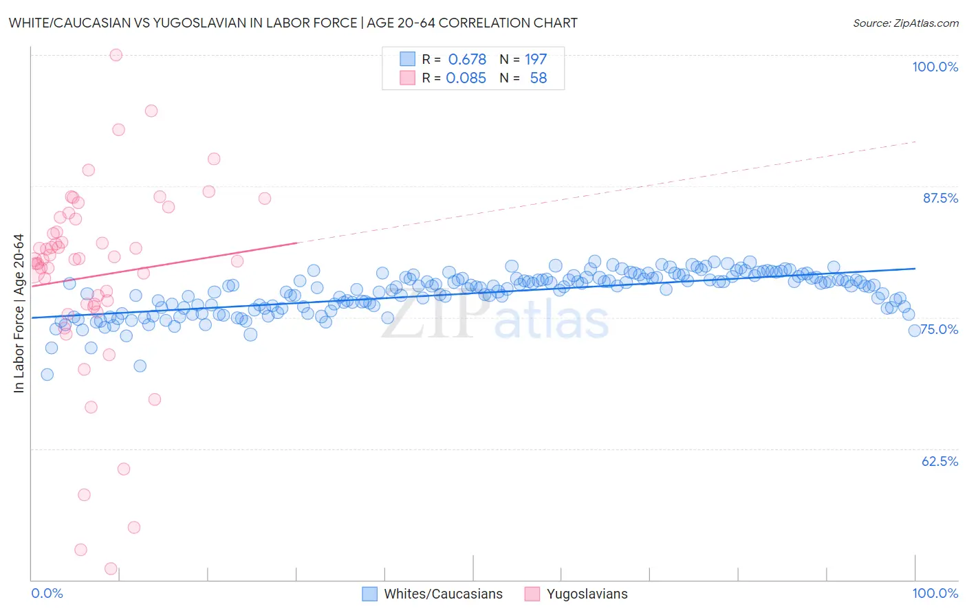White/Caucasian vs Yugoslavian In Labor Force | Age 20-64