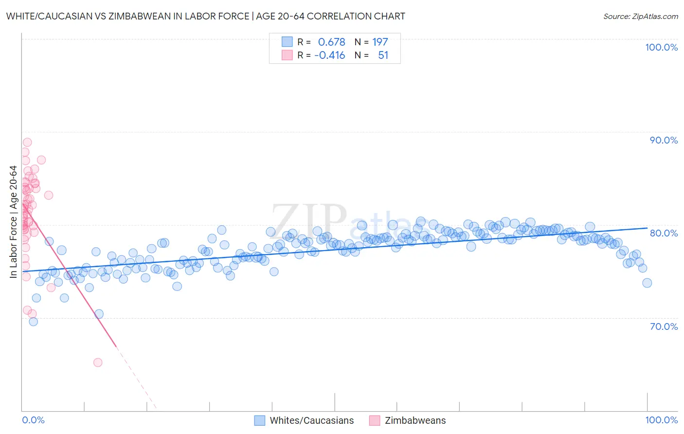 White/Caucasian vs Zimbabwean In Labor Force | Age 20-64