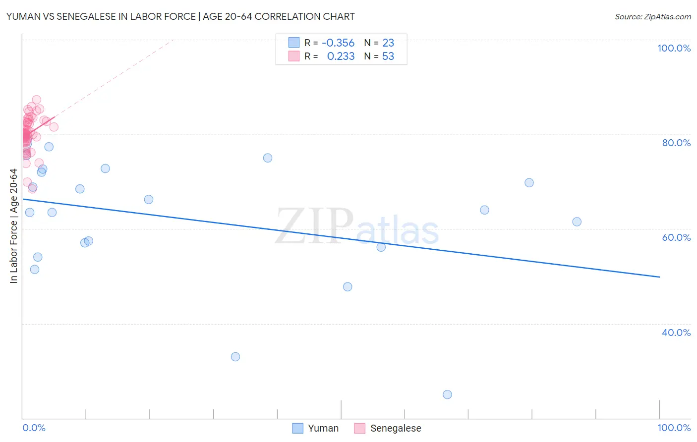 Yuman vs Senegalese In Labor Force | Age 20-64