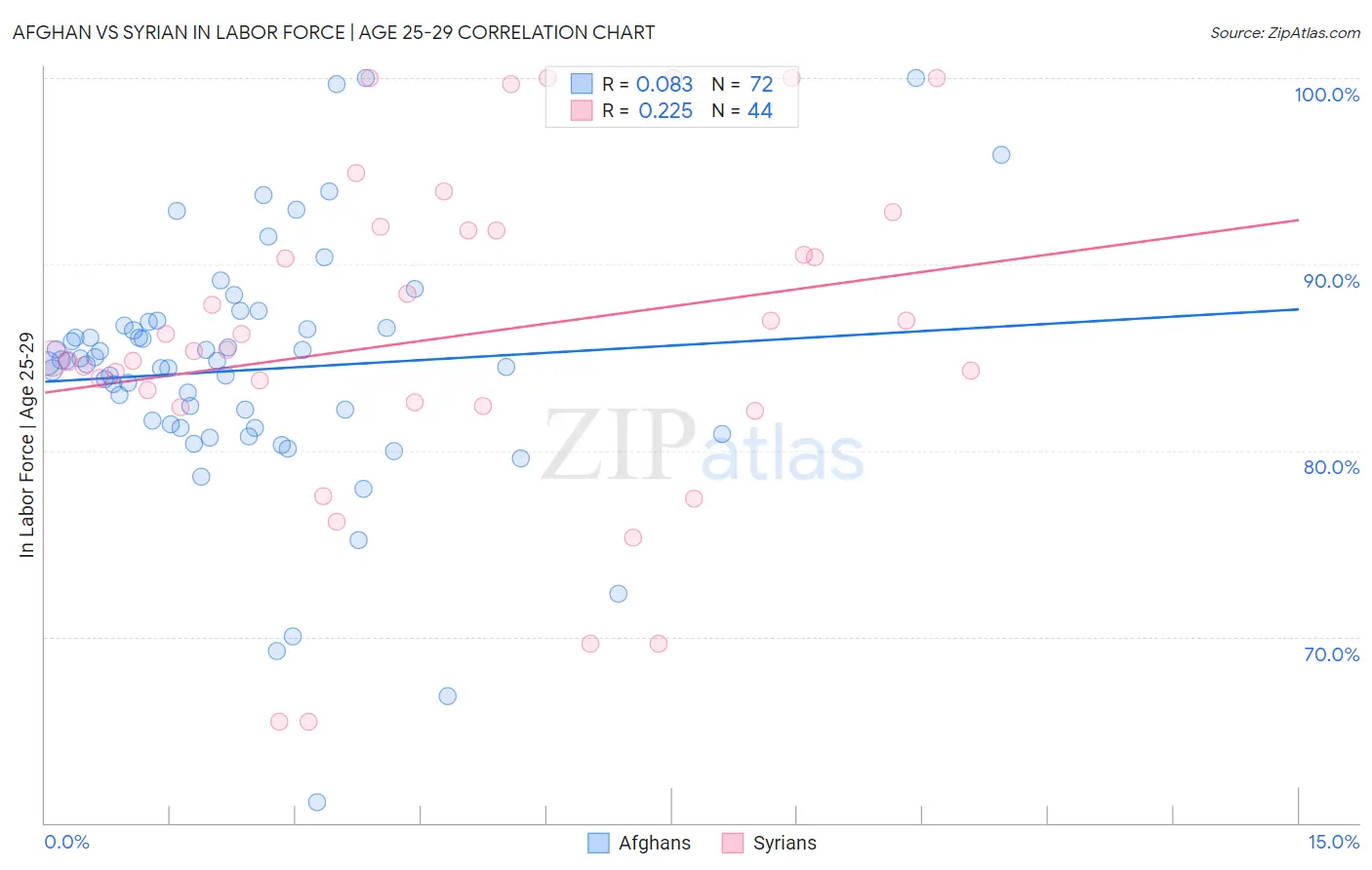 Afghan vs Syrian In Labor Force | Age 25-29