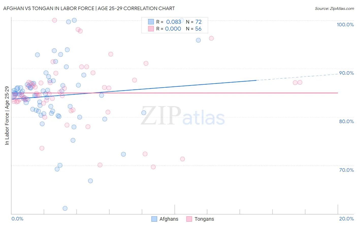 Afghan vs Tongan In Labor Force | Age 25-29