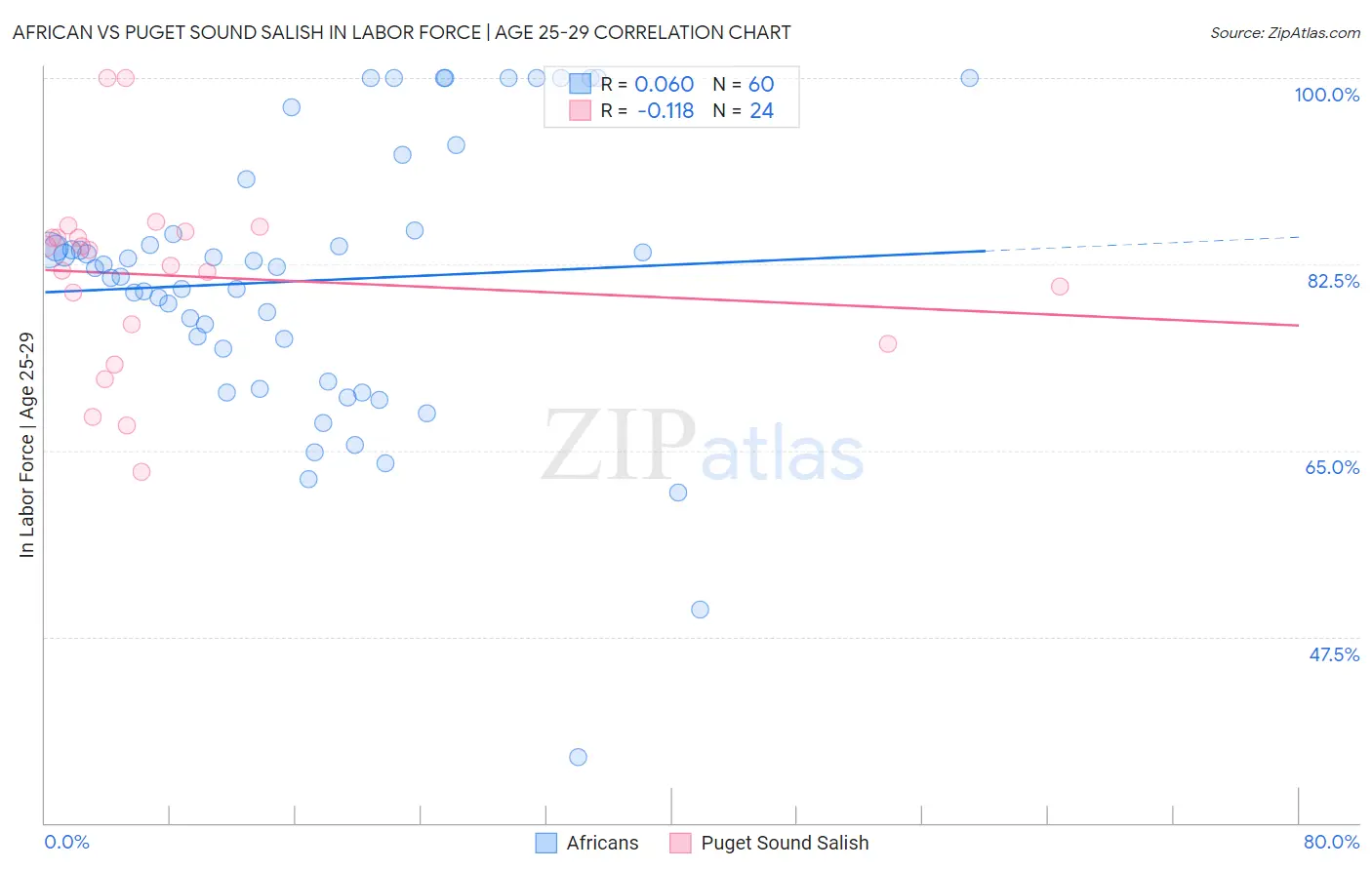 African vs Puget Sound Salish In Labor Force | Age 25-29