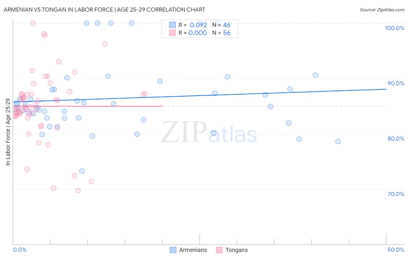 Armenian vs Tongan In Labor Force | Age 25-29