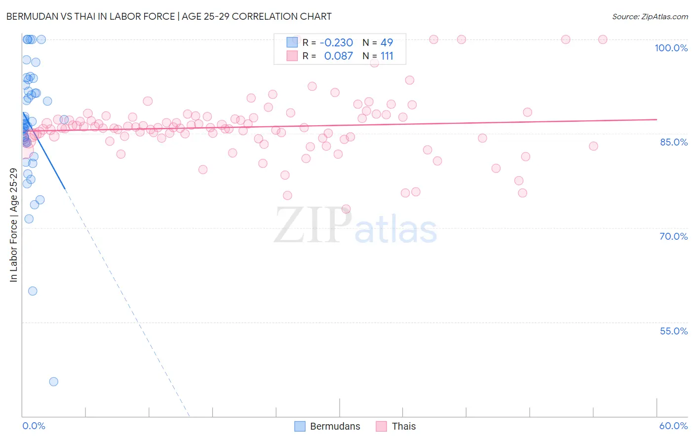 Bermudan vs Thai In Labor Force | Age 25-29