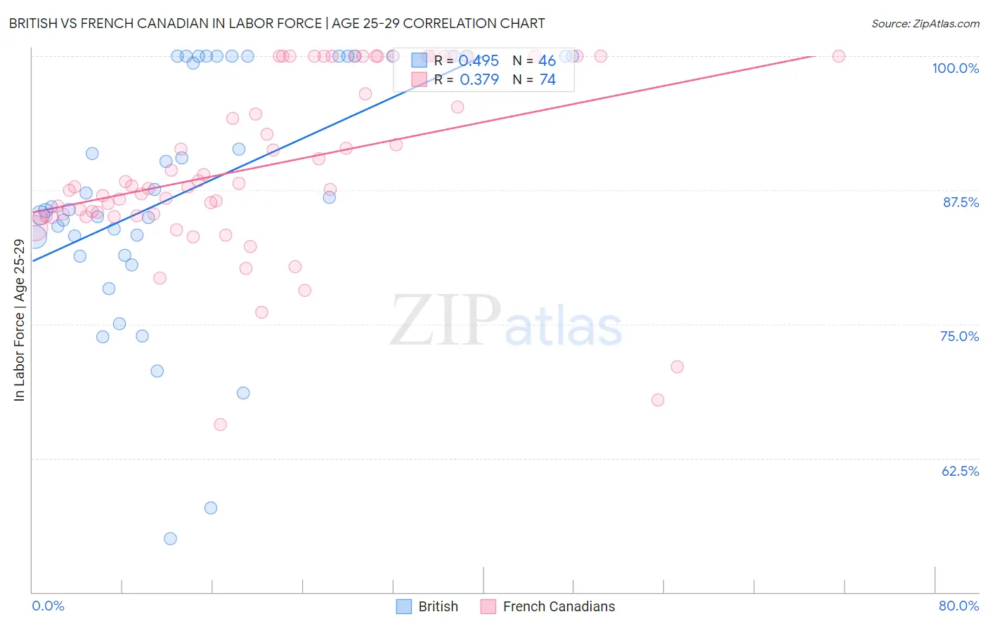 British vs French Canadian In Labor Force | Age 25-29