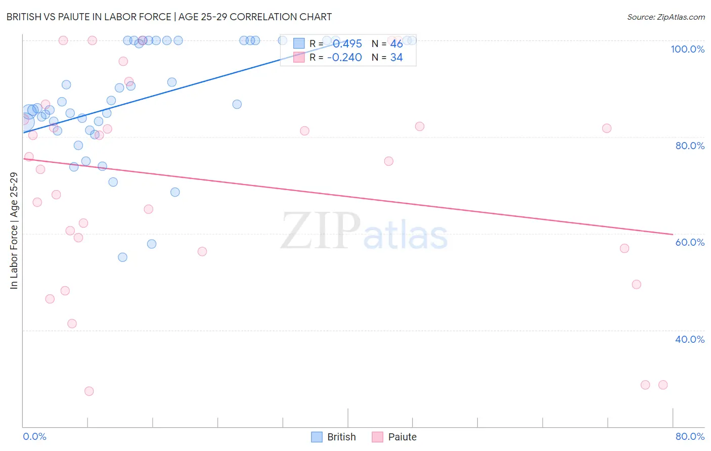 British vs Paiute In Labor Force | Age 25-29