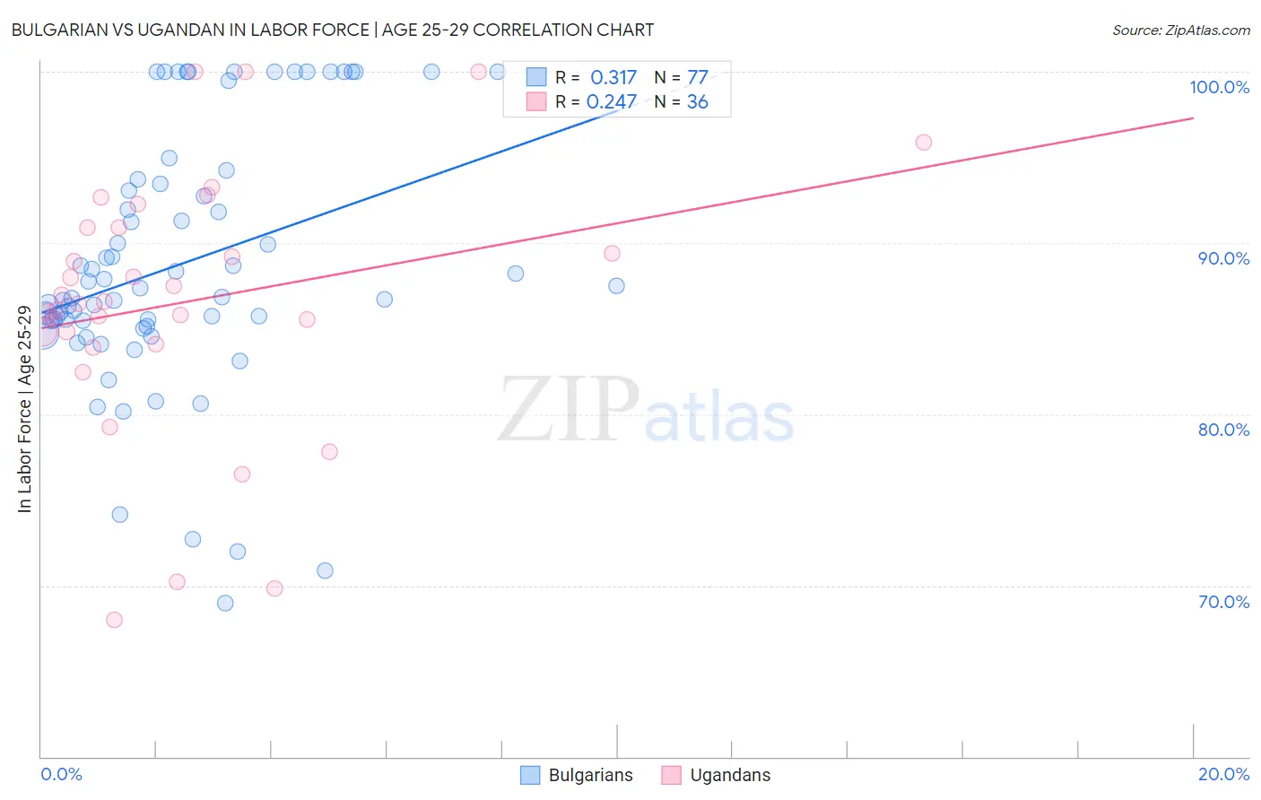 Bulgarian vs Ugandan In Labor Force | Age 25-29