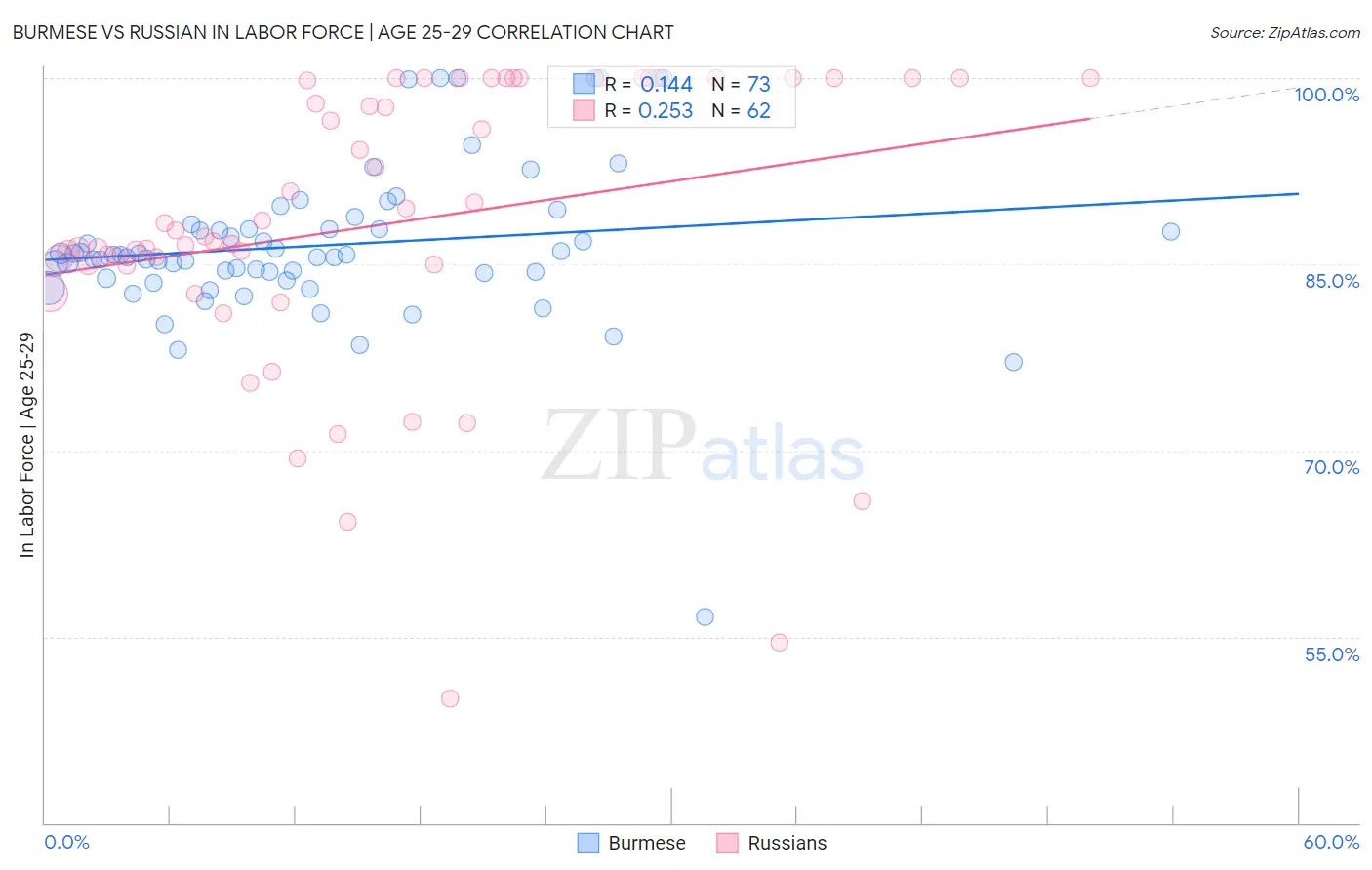 Burmese vs Russian In Labor Force | Age 25-29