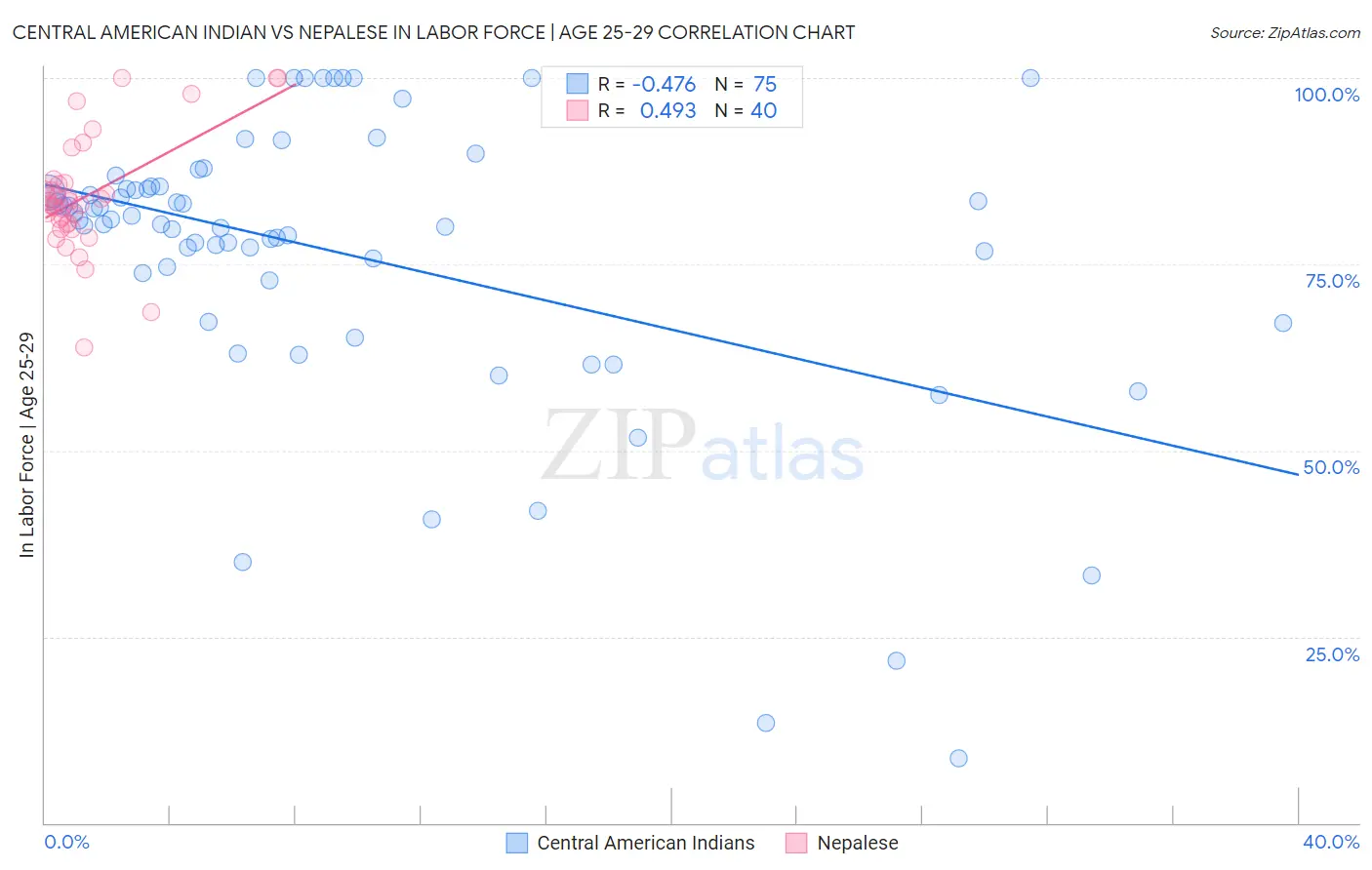 Central American Indian vs Nepalese In Labor Force | Age 25-29