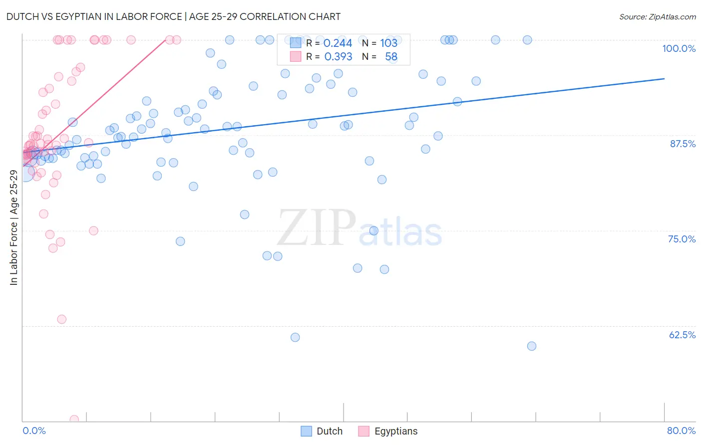 Dutch vs Egyptian In Labor Force | Age 25-29