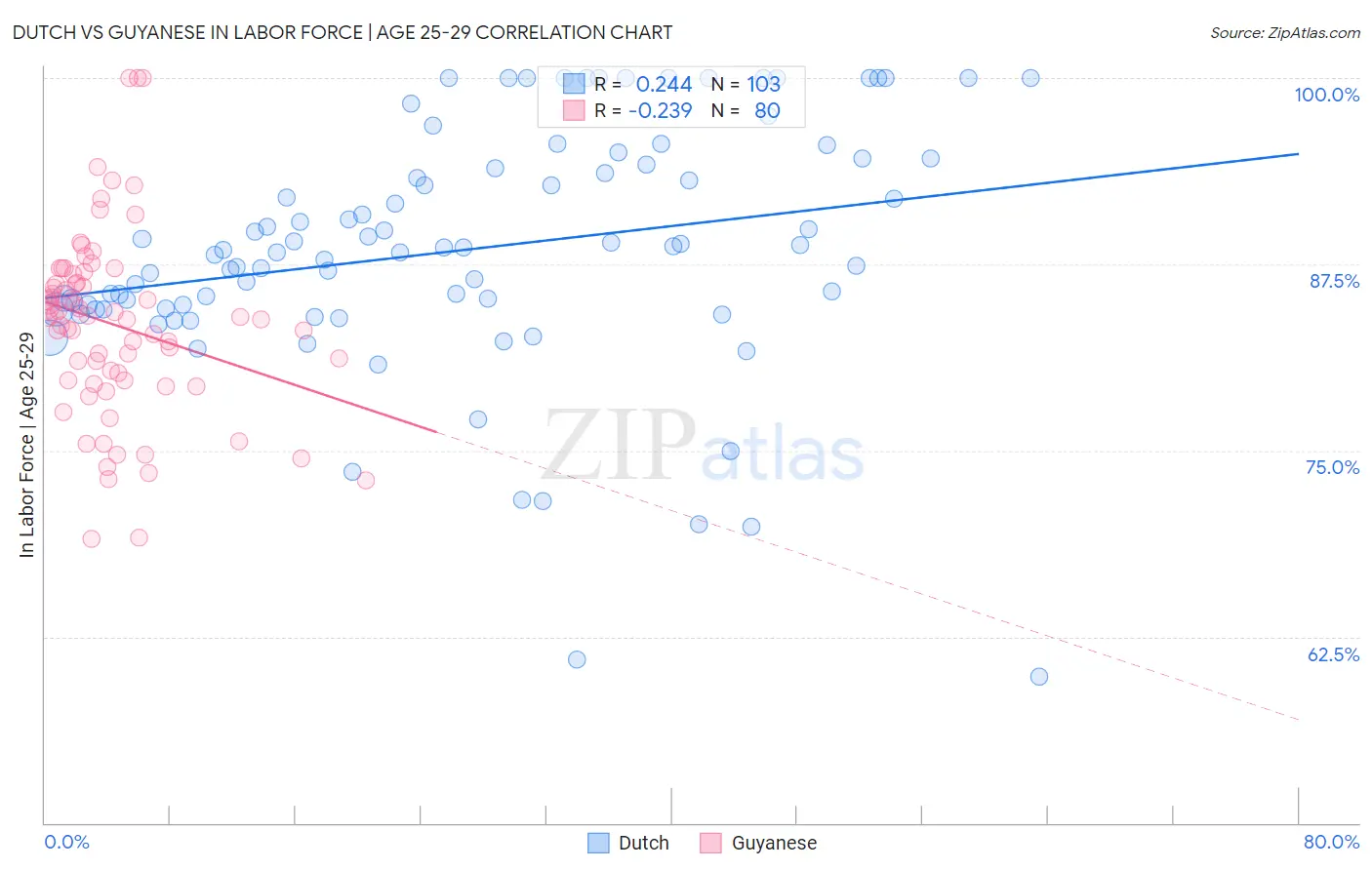 Dutch vs Guyanese In Labor Force | Age 25-29