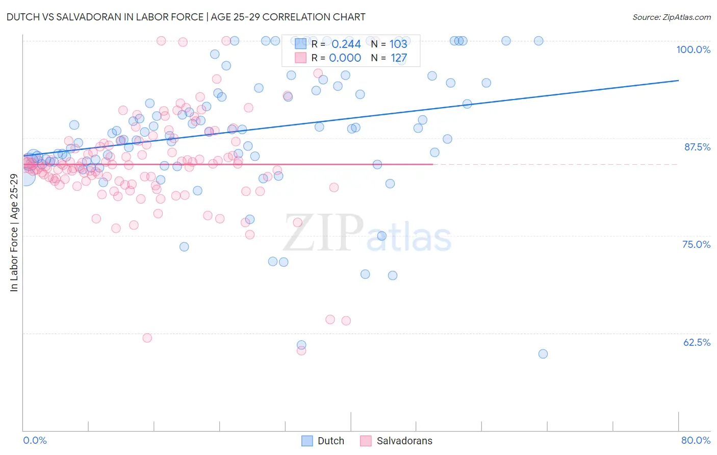 Dutch vs Salvadoran In Labor Force | Age 25-29