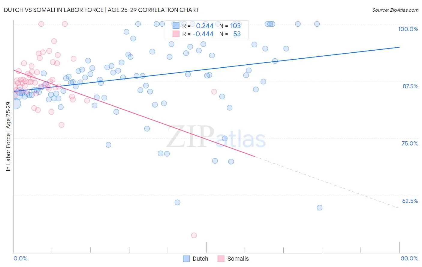 Dutch vs Somali In Labor Force | Age 25-29