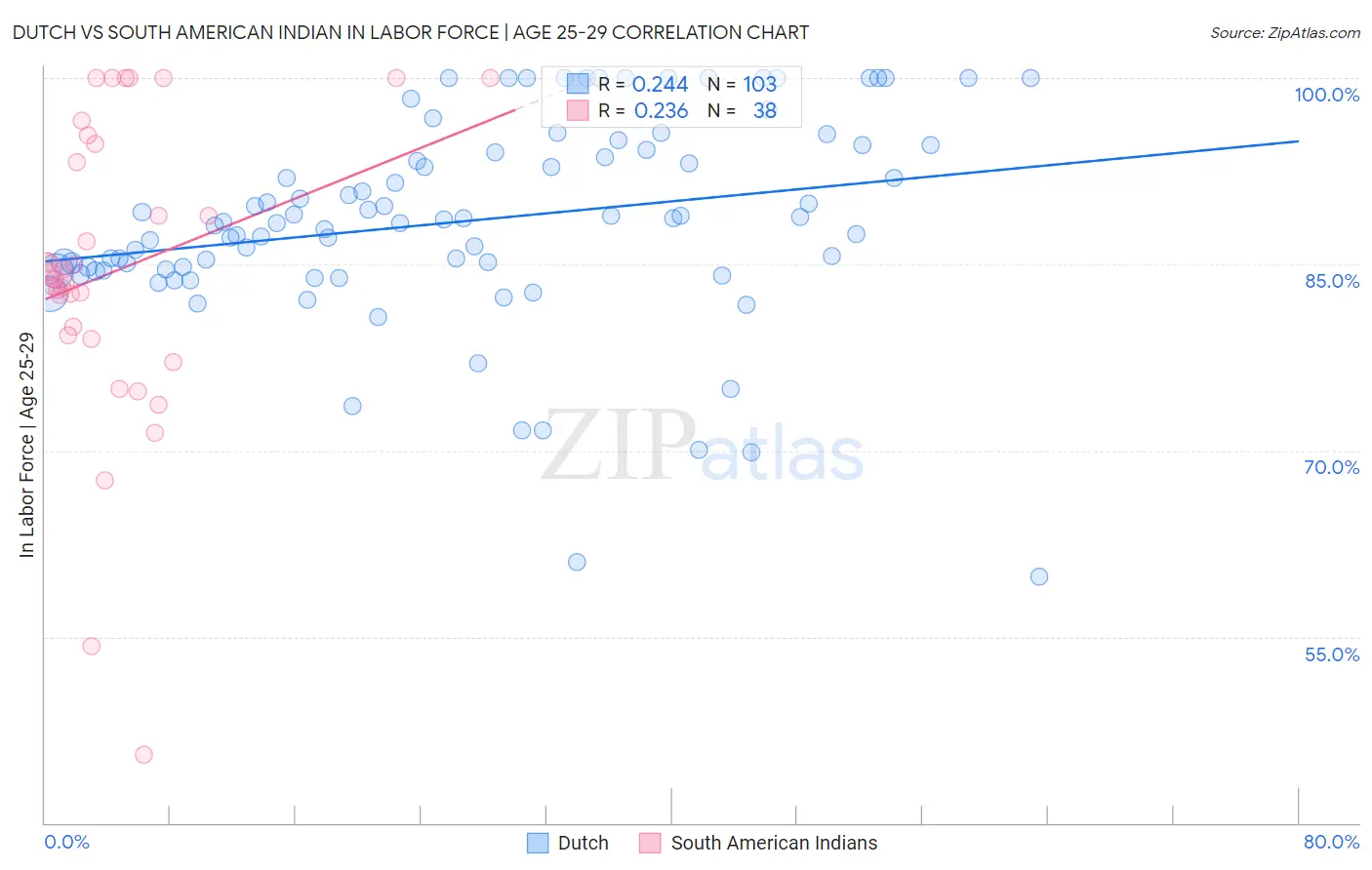 Dutch vs South American Indian In Labor Force | Age 25-29