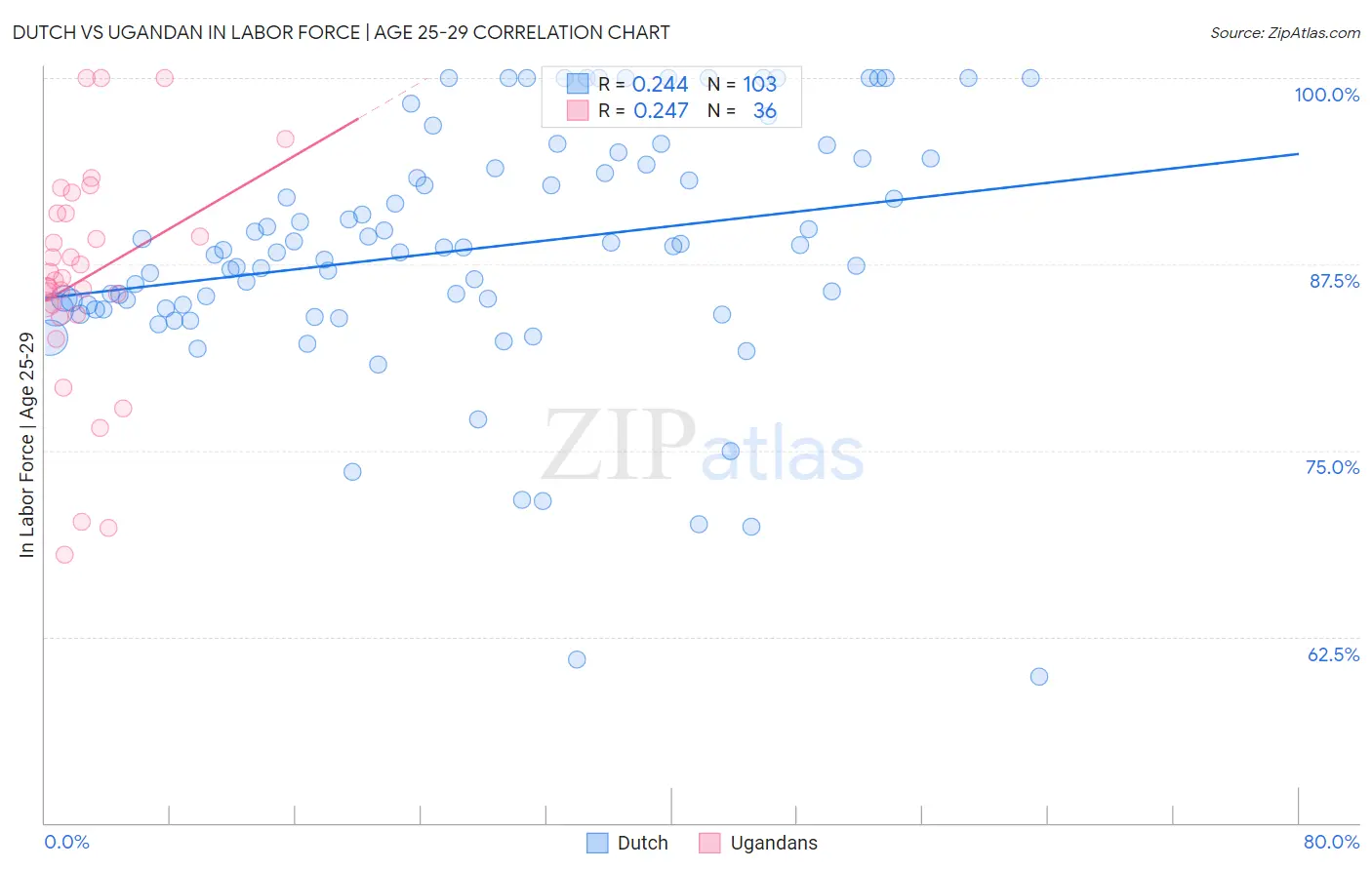 Dutch vs Ugandan In Labor Force | Age 25-29