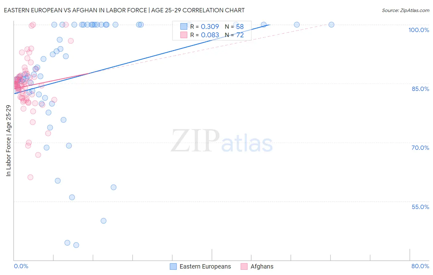 Eastern European vs Afghan In Labor Force | Age 25-29