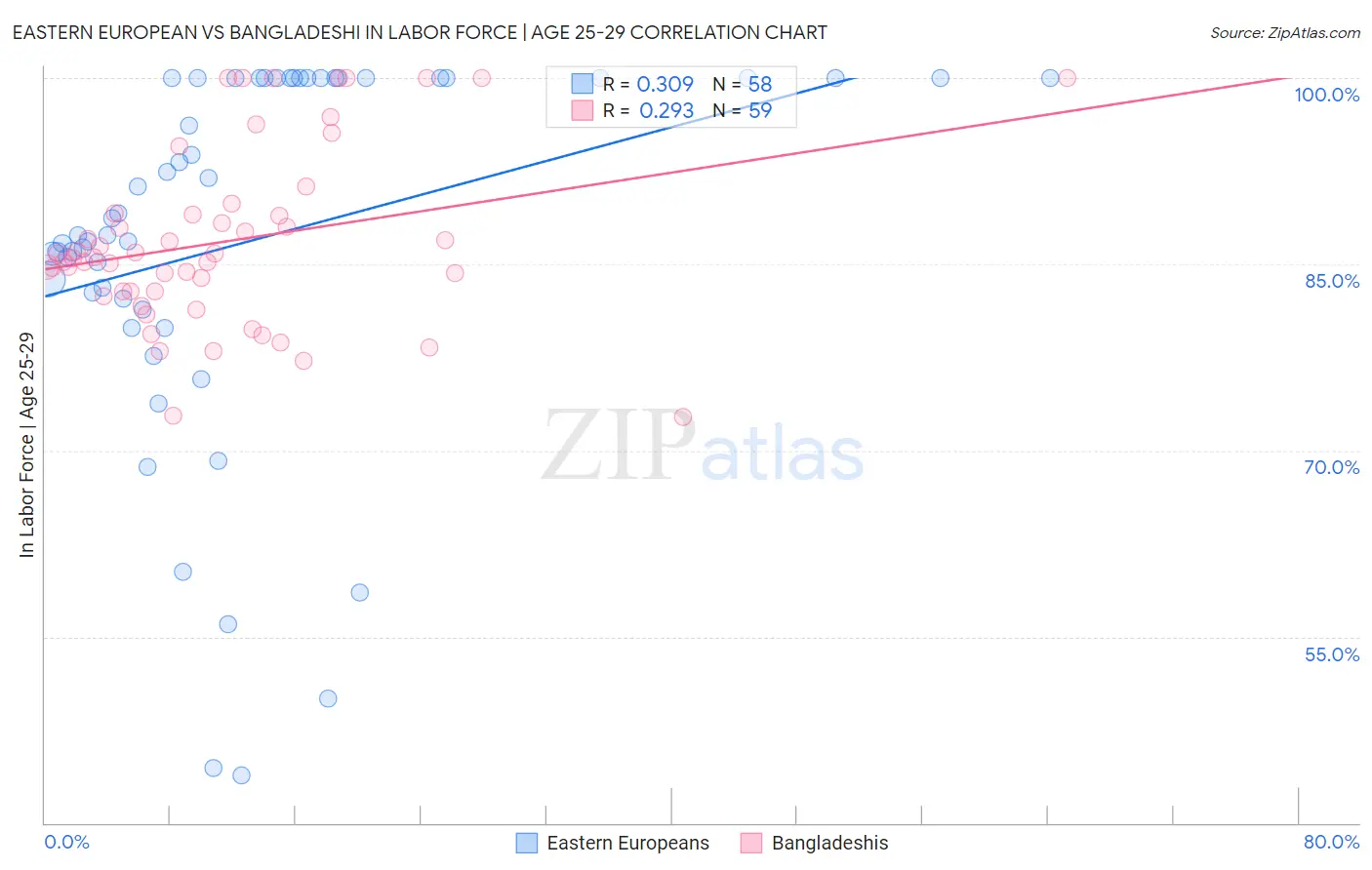 Eastern European vs Bangladeshi In Labor Force | Age 25-29