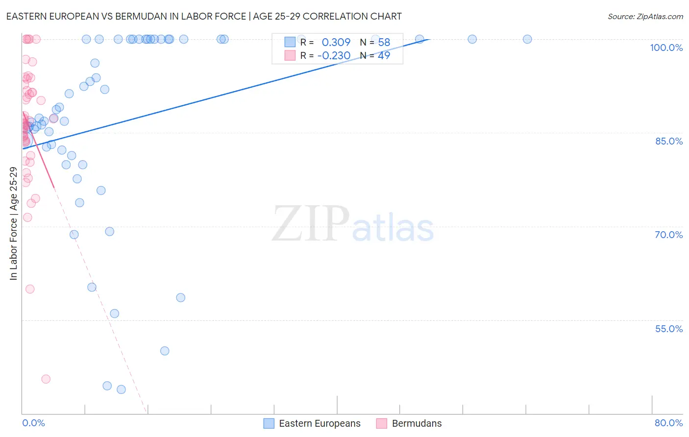 Eastern European vs Bermudan In Labor Force | Age 25-29