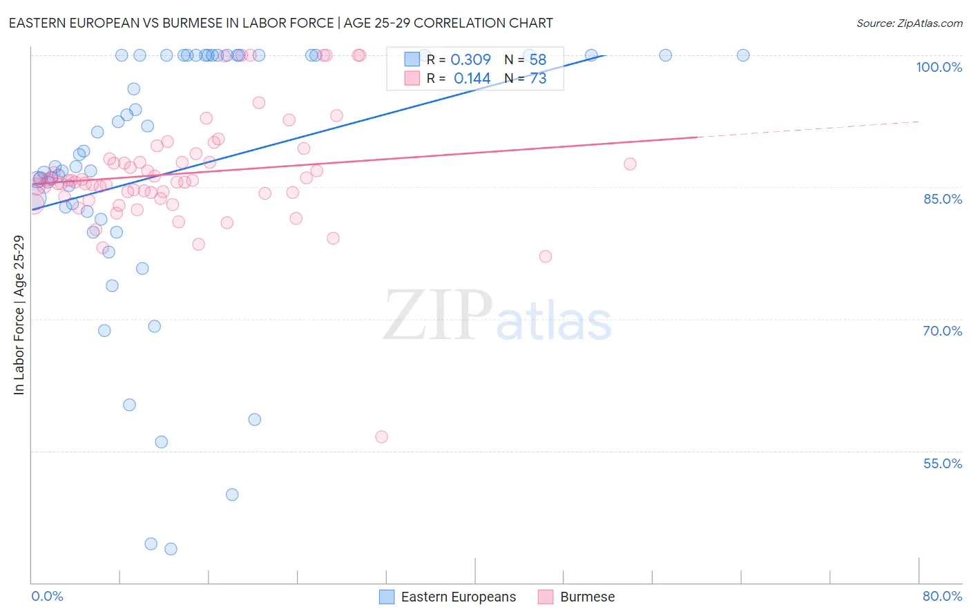 Eastern European vs Burmese In Labor Force | Age 25-29