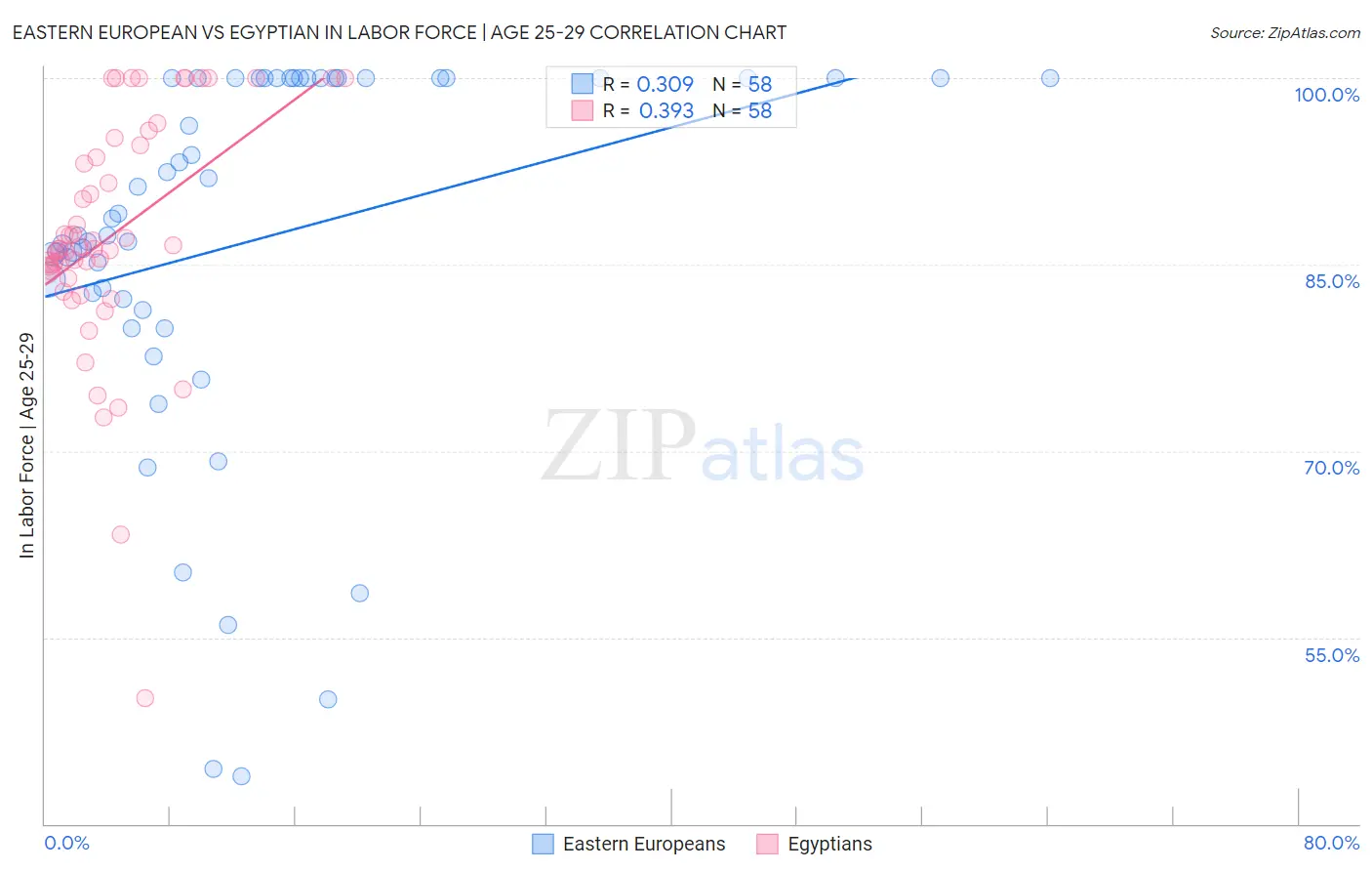 Eastern European vs Egyptian In Labor Force | Age 25-29