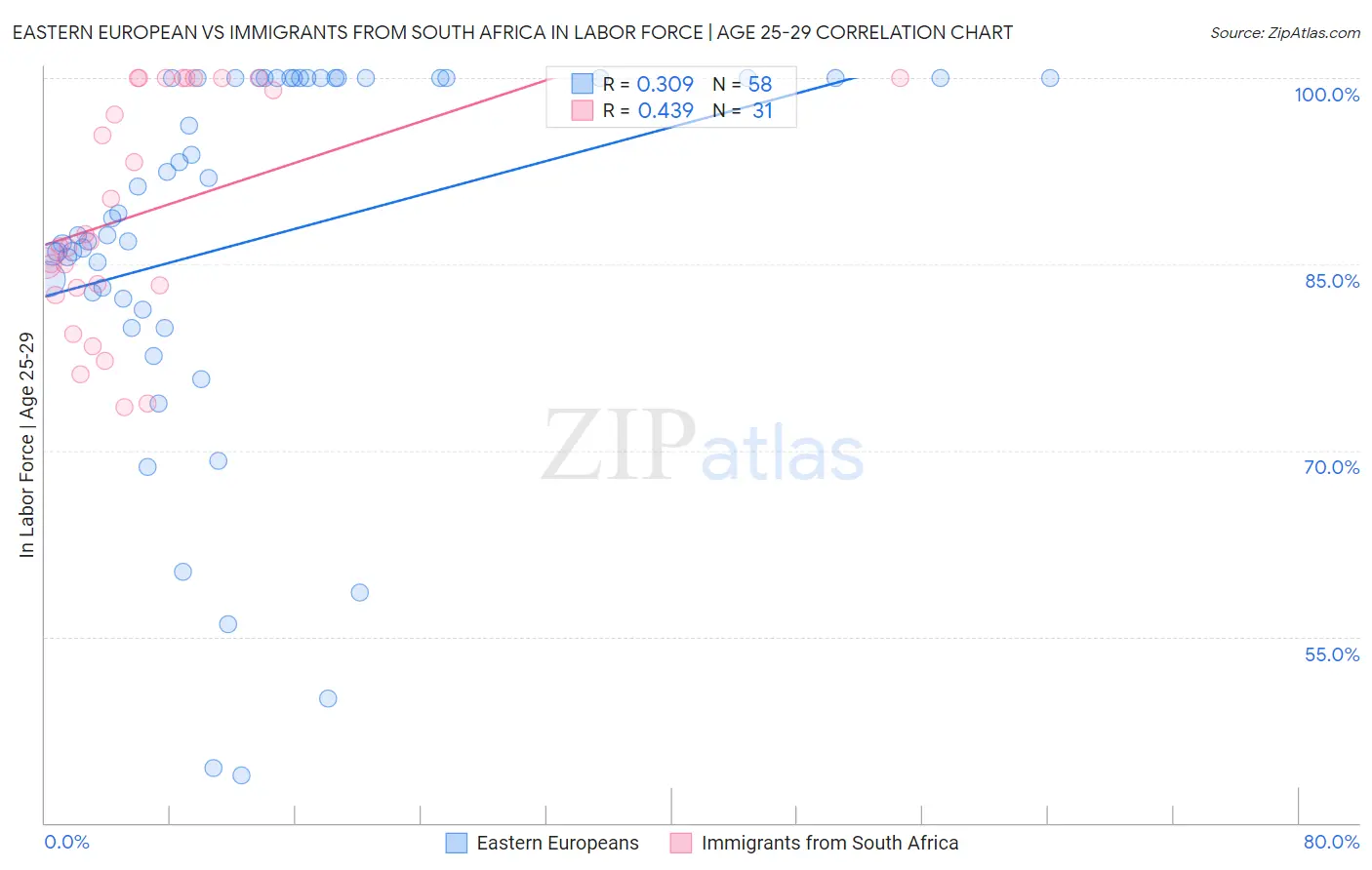 Eastern European vs Immigrants from South Africa In Labor Force | Age 25-29