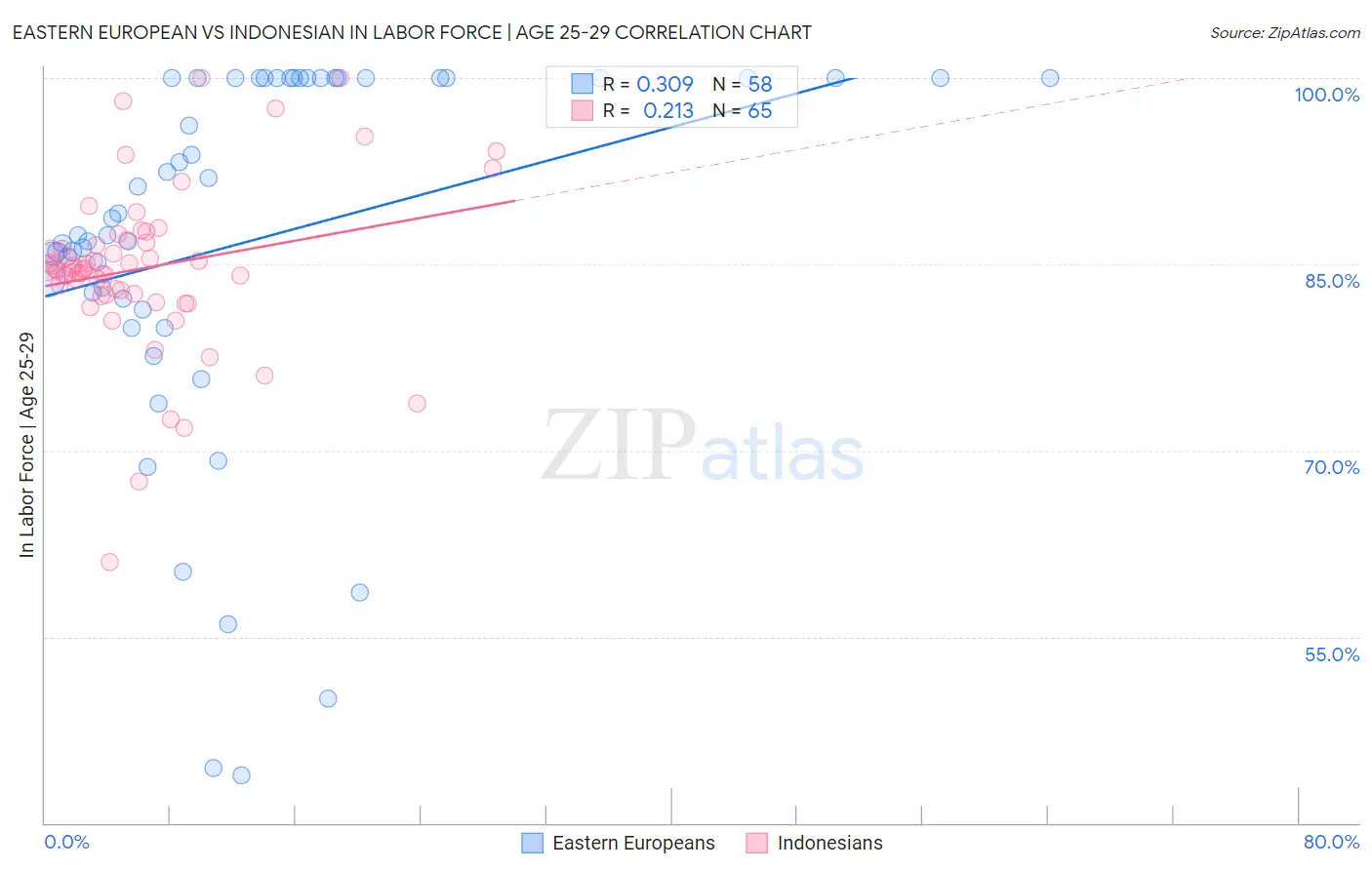 Eastern European vs Indonesian In Labor Force | Age 25-29