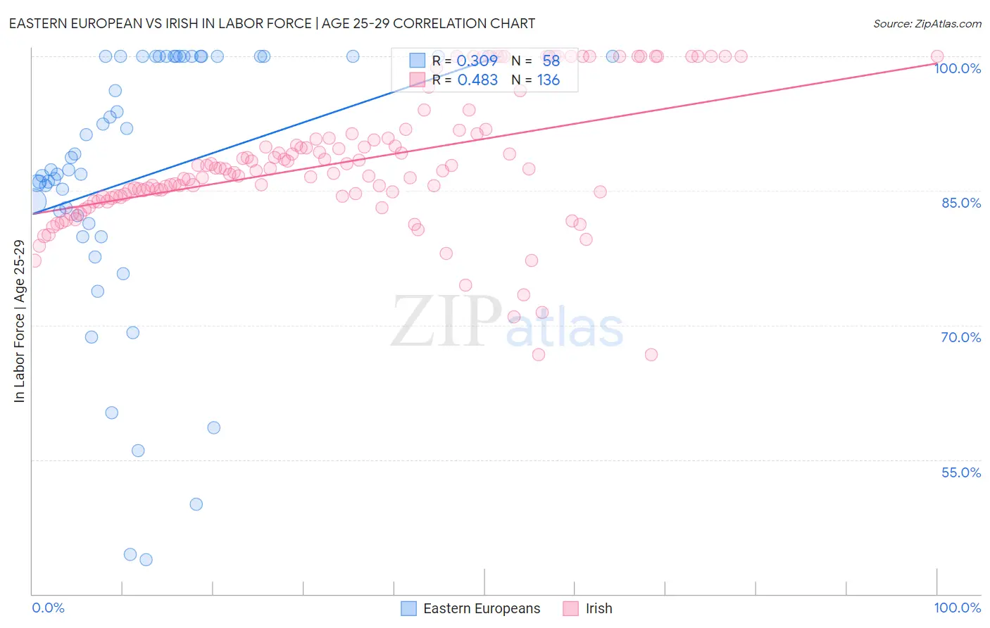 Eastern European vs Irish In Labor Force | Age 25-29