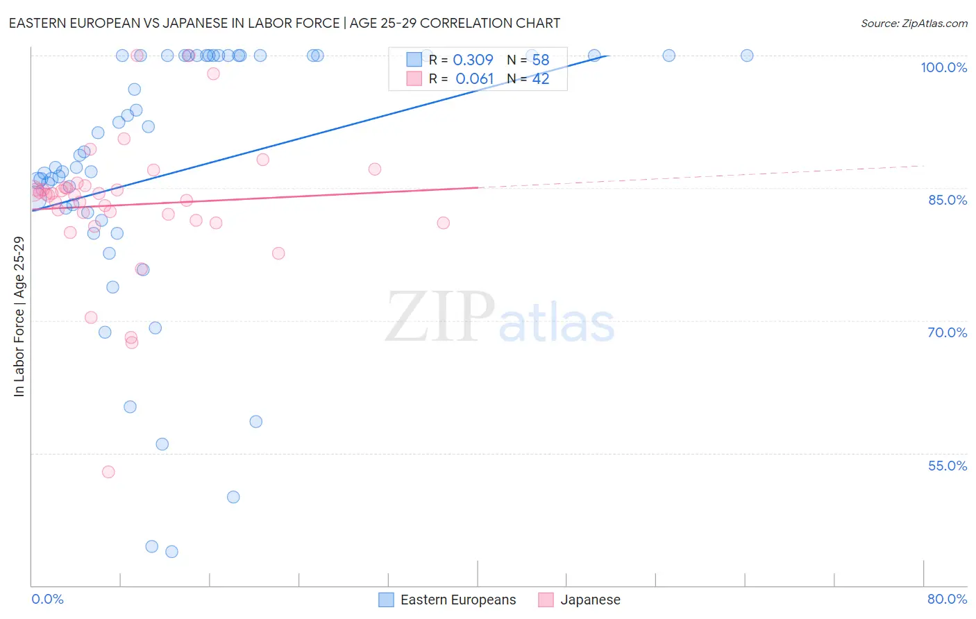 Eastern European vs Japanese In Labor Force | Age 25-29