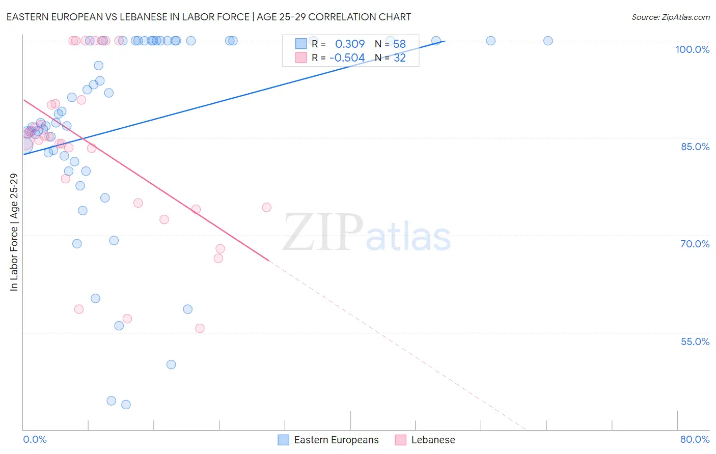 Eastern European vs Lebanese In Labor Force | Age 25-29