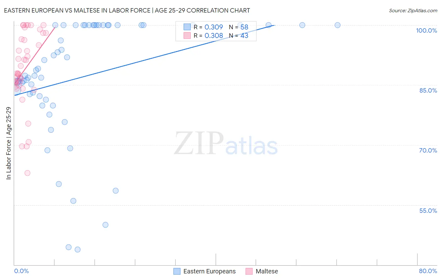 Eastern European vs Maltese In Labor Force | Age 25-29