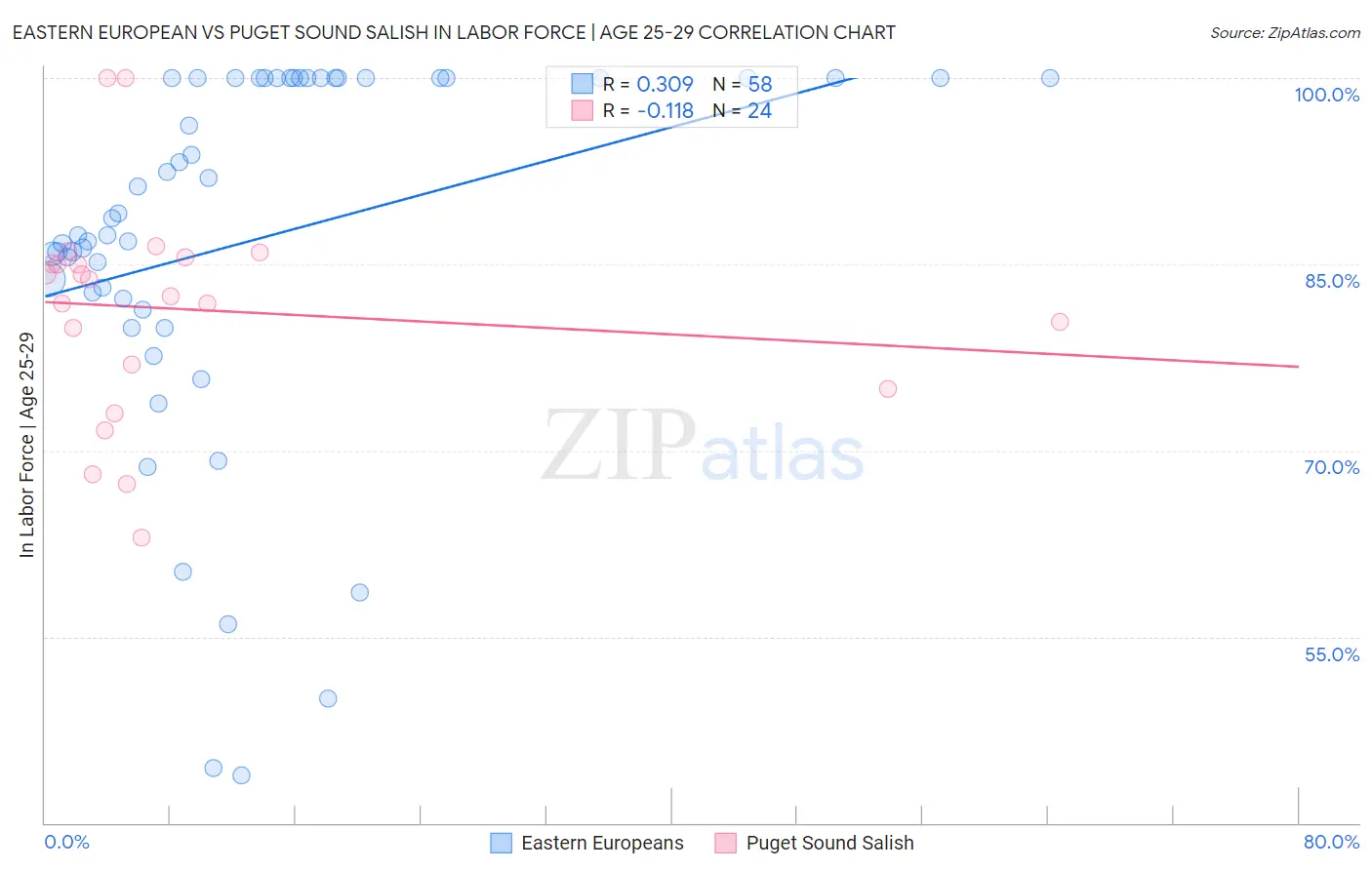 Eastern European vs Puget Sound Salish In Labor Force | Age 25-29