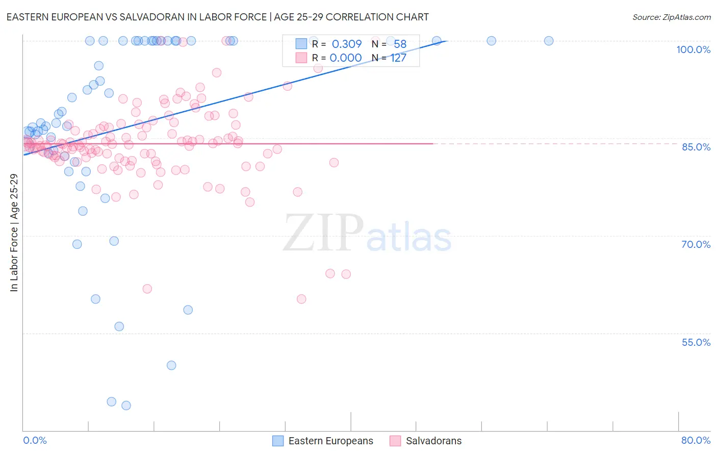 Eastern European vs Salvadoran In Labor Force | Age 25-29