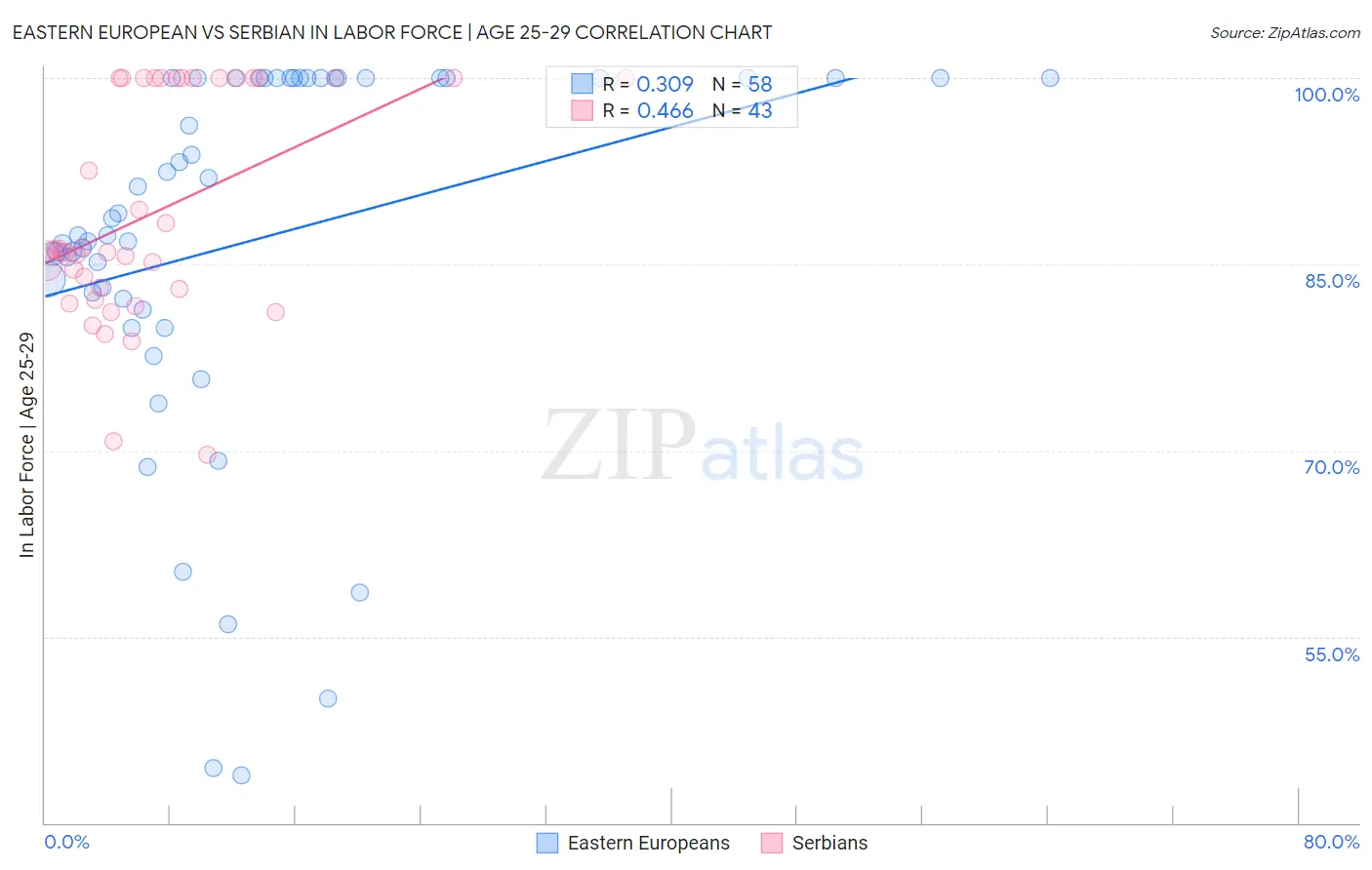 Eastern European vs Serbian In Labor Force | Age 25-29