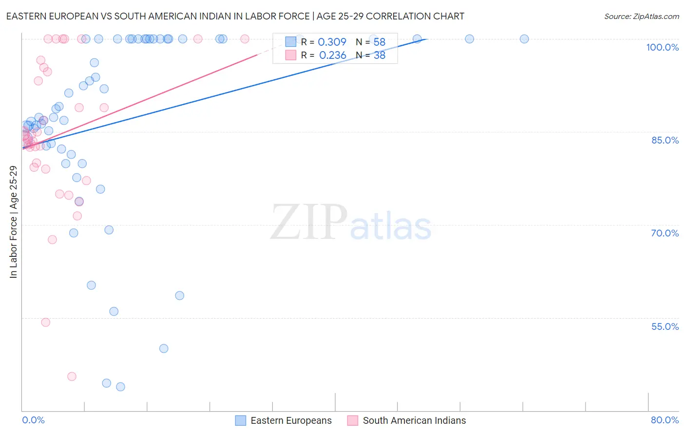 Eastern European vs South American Indian In Labor Force | Age 25-29