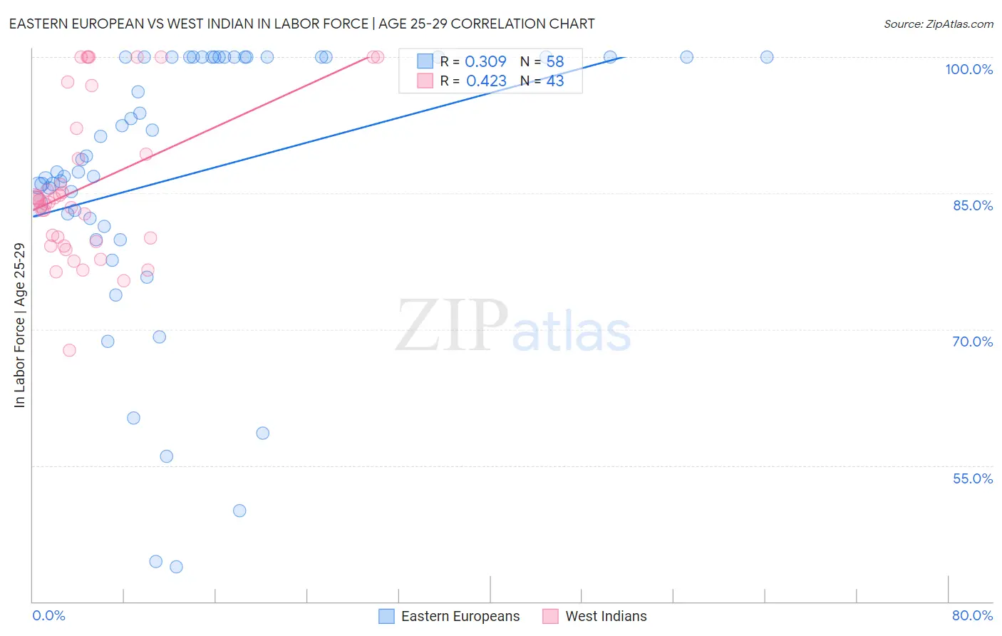 Eastern European vs West Indian In Labor Force | Age 25-29