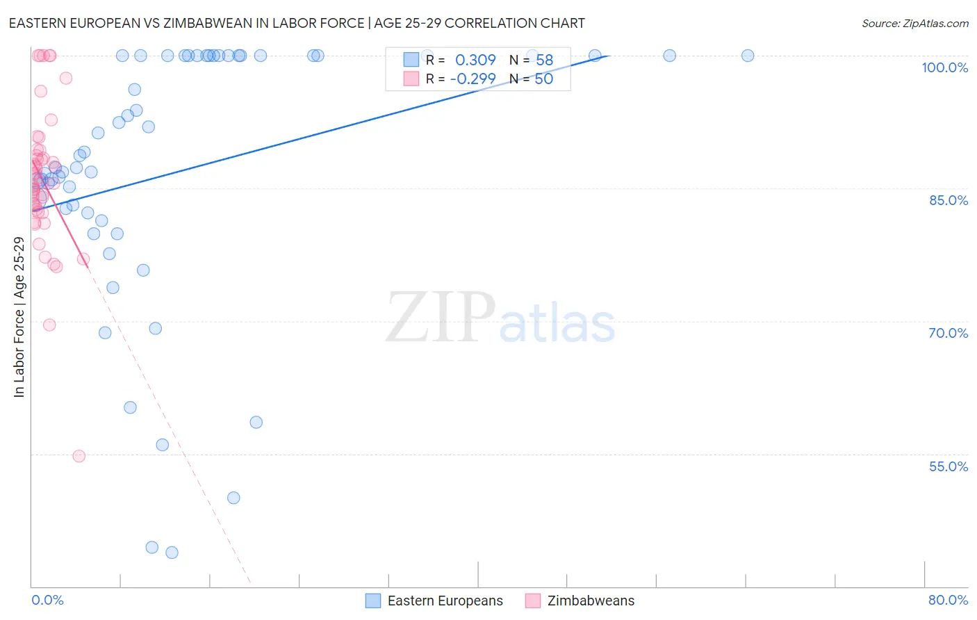 Eastern European vs Zimbabwean In Labor Force | Age 25-29