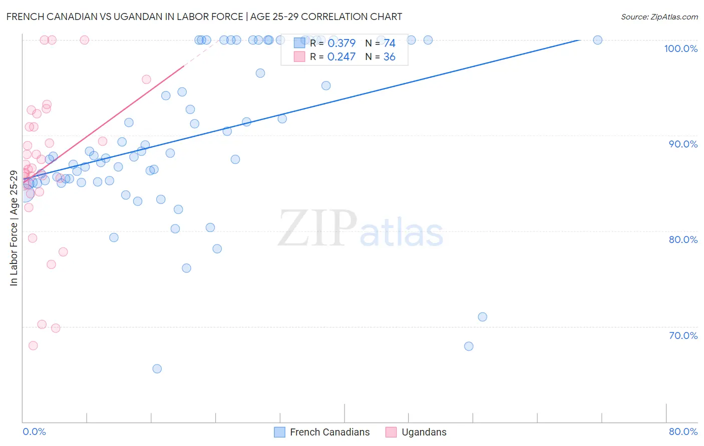 French Canadian vs Ugandan In Labor Force | Age 25-29